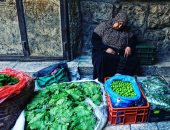 رسالة مؤثرة من محمد حديد إلى والدته ونساء فلسطين بمناسبة يوم المرأة العالمى