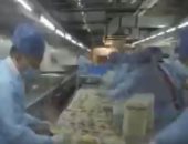 6 آلاف وجبة يوميا..فيديو يكشف كيف تعد الأغذية لمصابى كورونا بإحدى مستشفيات الصين