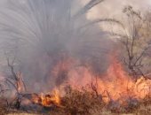 مصرع 19 شخصا بسبب حرائق الغابات جنوب غربى الصين
