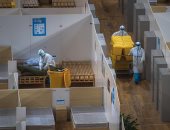 تعليق العمل فى 14 مستشفى مؤقتا بووهان لانخفاض أعداد مرضى كورونا