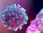فرنسا تعلن عن 500 إصابة بفيروس كورونا خلال 24 ساعة