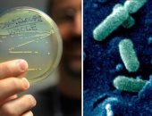 أسئلة وإجابات عن الإصابة بكتيريا الليستريا وأعراضها