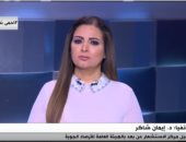 الأرصاد لـ"المواجهة": مصر ستشهد حالة شديدة من عدم استقرار الطقس وسيول ببعض المناطق