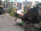انهيار منزل في بنها واقتلاع شجرة بقليوب بسبب سوء الأحوال الجوية