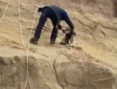كلب يتعثر فى منحدر صخرى بمدينة روسية فانتشله فريق إنقاذ.. فيديو