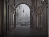 البندقية الإيطالية فارغة نتيجة الإغلاق العام بسبب كورونا.. فيديو