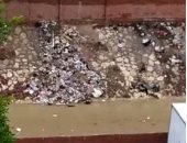 قارئة تناشد المسؤولين بتطهير مخر السيل بحدائق حلوان من القمامة المنتشرة