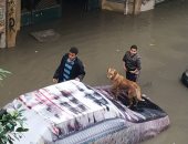 صور.. أهالى شارع القدسى بعزبة النخل يطالبون بصرف تجمعات مياه الأمطار