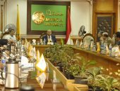 مجلس عمداء جامعة المنيا: نمتلك بنية تحتية تكنولوجية للتواصل مع الطلاب 