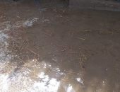 فيديو.. غرق أرضى زراعية بالشرقية بسبب انهيار جسر بحر البقر نتيجة الأمطار 