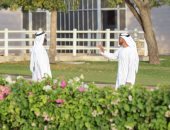 الإمارات تعلن عودة موظفى الحكومة الاتحادية إلى مقار العمل بنسبة 100% من 5 يوليو