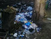 أهالى شارع بن الوليد بالإسكندرية يعانون من تراكم القمامة