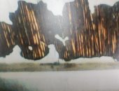 "سيبها علينا"..مأساة أسرة بالمنوفية بعد انهيار سقف منزلهم بسبب الأمطار..صور