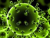 كورونا يواصل حصد الأرواح ويثير أزمات سياسية.. تغريدة ترامب عن "الفيروس الصينى" تثير غضبا عارما فى بكين.. قلق بإسرائيل من تعقب هواتف المصابين.. ارتفاع الإصابات العالمية لـ 181.500.. وإيطاليا الأكثر تضررا