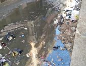 قارئ يشكو من تراكم القمامة وانتشار مياه المجارى بشارع فرن حبيب مركز شربين دقهلية