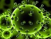 اليونان تحد من التحركات دخل مخيمات اللاجئين لمنع انتشار كورونا 