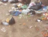شكوى من انتشار القمامة فى قرية بشلا بالدقهلية   