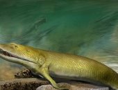 سمكة غريبة ذات "أصابع" عاشت قبل ملايين السنين "تخفى" اكتشافا مثيرا