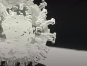 فنان بريطانى يصنع مجسما لفيروس كورونا قبل اجتياحه العالم.. صور