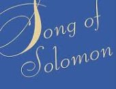 100 رواية عالمية.. "أغنية سليمان" السود لا يزالون عبيدا فى أمريكا 