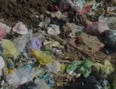 شكوى من انتشار القمامة والذباب بشارع الزهور بالزاوية الحمراء بالقاهرة