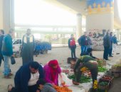 إزالة سوق عشوائى بمنطقة سندوب بالمنصورة لمجابهة انتشار فيروس كورونا