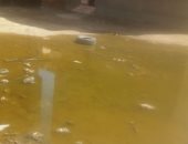 أهالى كفر البطيخ بدمياط يشكون من تراكم مياه الأمطار.. صور