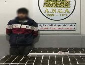 الداخلية تضبط 120 طربة حشيش بالإسماعيلية بقيمة 850 ألف جنيه