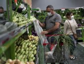 التموين تستعرض أسعار الخضروات والفاكهة اليوم : متابعة يومية مع أسواق الجملة