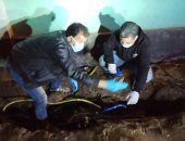 الكهرباء تتلقى 5555 بلاغا على رقم 121 فى أول أيام حظر التجوال.. صور