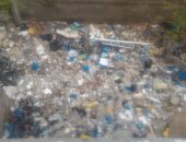 شكوى من انتشار القمامة فى شارع ادريس بالمندرة البحرية بالاسكندرية