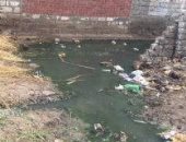 قارئ يشكو انتشار مياه الصرف الصحى بقرية ميت صالح بالمنوفية