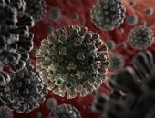 أخبار × 24 ساعة.. الصحة تكشف سلسلة نصائح جديدة للحماية من فيروس كورونا