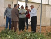 محافظ الوادى الجديد: فتح منفذ لمنتجات الصوب الزراعية بالخارجة لتوفيرها بأسعار مخفضة