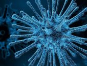 البحرين: ارتفاع عدد المتعافين من فيروس كورونا إلى 254 بعد تسجيل 19 حالة شفاء