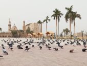 فيديو  .. لأول مرة رفع آذان الجمعة من ساحة أبو الحجاج الأقصرى ومنع الصلاة