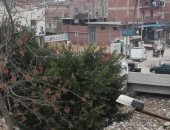 قارئة تشكو من انتشار القمامة بقرية بالقشيش شبين القناطر القليوبية