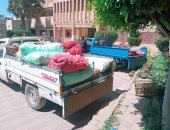 محافظ كفرالشيخ يصدر قرار بتشكيل لجنة بجميع المدن لاتخاذ الإجراءات الاحترازية