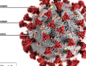 علماء هارفارد يطورون فحص جديد لمعرفة تأثير فيروس كورونا على مناعة المتعافين