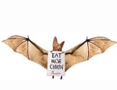 نجل الرئيس الأمريكى يسخر من وجبات الصينين: أكثروا من أكل الفراخ.. صورة