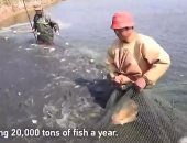 عودة حركة الصيد بالنهر الأصفر فى الصين بعد توقف شهور بسبب كورونا
