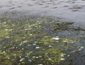 أهالى قرية جزيرة راجح بالأقصر يطالبون بتطهير الترعة