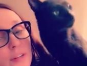 "مش بينقلوا كورونا".. فنانون يدشنون حملة لحماية الحيوانات الأليفة