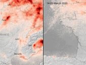 مش كلها خسائر.. البيئة المستفيد الأول من أزمة فيروس كورونا.. فيديو وصور