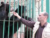 فيديو.. جنود مجهولة بحدائق الحيوانات يعملون رغم الحظر