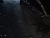 من البلكونة.. شارع الجمهورية بالمنيا خالى من المارة للحد من انتشار كورونا