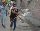 حملة مكبرة لتطهير وتعقيم شوارع مدينة أبو قرقاص فى المنيا