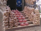 مبادرات الخير تحارب جشع التجار.. شباب الخانكة يوزعون وجبات لـ1500 أسرة أيتام