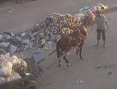  انتشار القمامة أعلى كوبري دار السلام يعيق حركة السير.. والأهالى يطالبون بحل 
