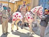 شرطى هندى يرسم شكل فيروس كورونا على حصانه لتذكير المواطنين بخطورته